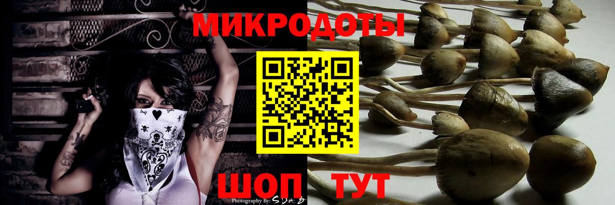 Псилоцибиновые грибы Psilocybine cubensis  Галлюциногенные грибы Magic Shrooms  Сосновоборск  Вход с VPN 